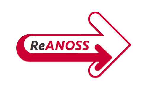 reanoss